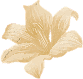 heaven hamam spa bodrum